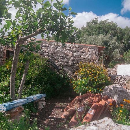 فيلا Casa Do Professor Casais dos Monizes المظهر الخارجي الصورة